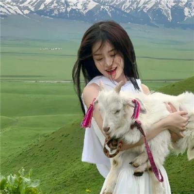 桃花含露又春风